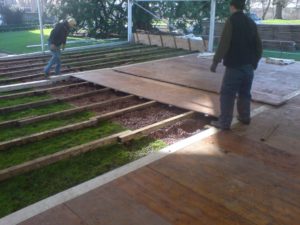 Miss Jahya Chelsea Mvemba Flooring  